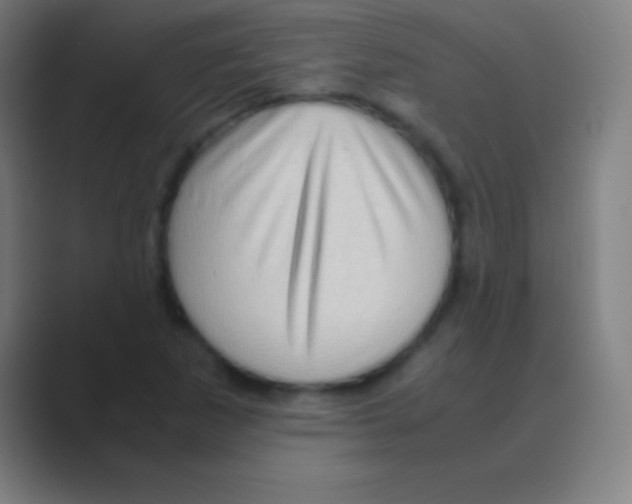 X0000088741265200706282137