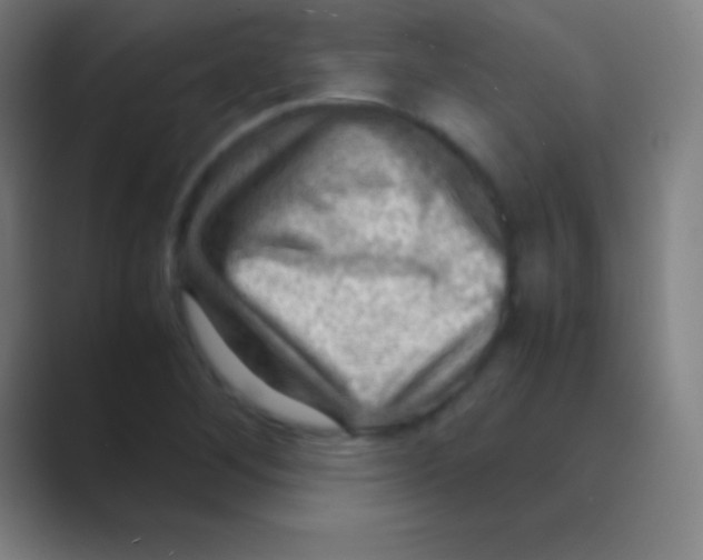 X0000088741268200706282137