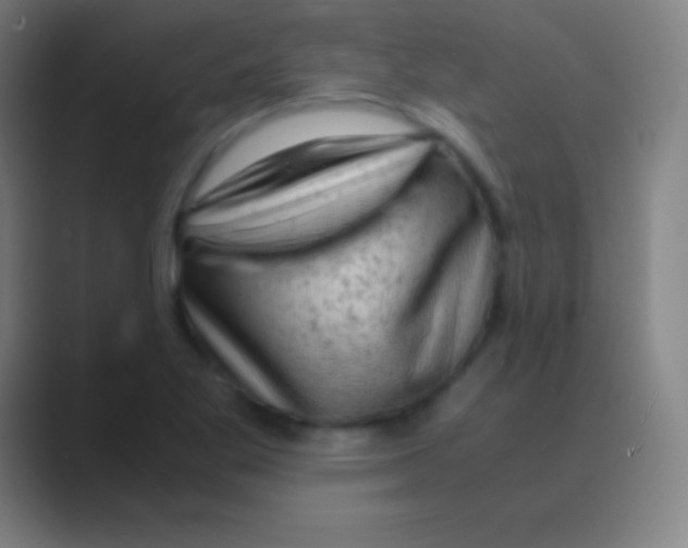 X0000088741269200706282137