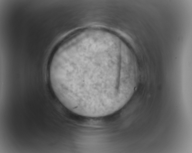 X0000088741271200706282137