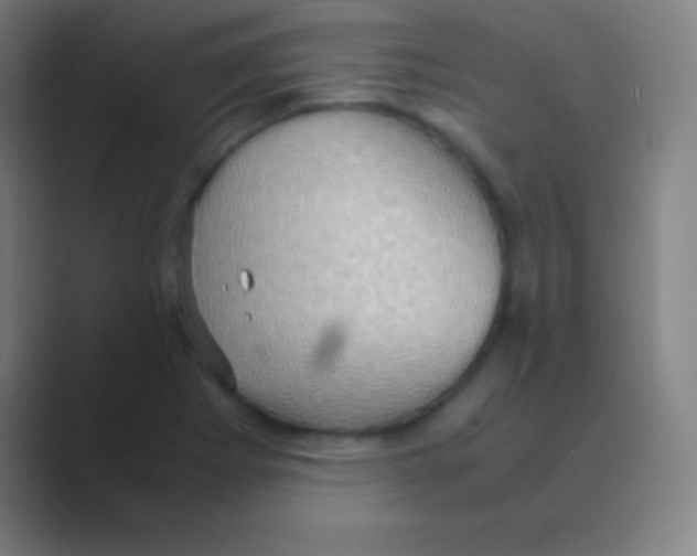 X0000088741273200706282137