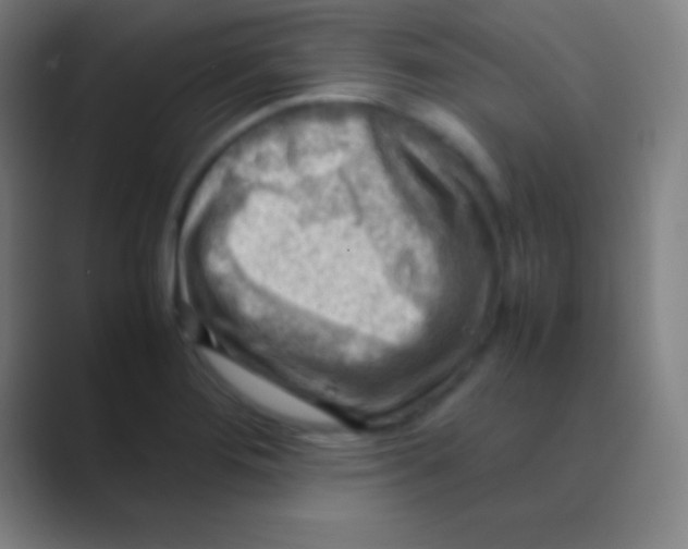 X0000088741276200706282137