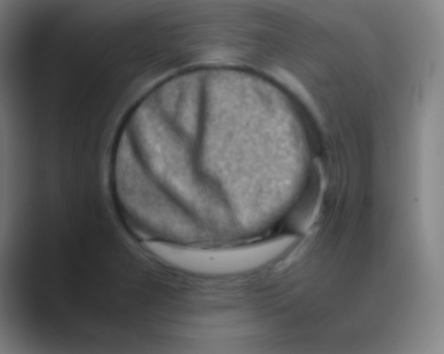 X0000088741277200706282137