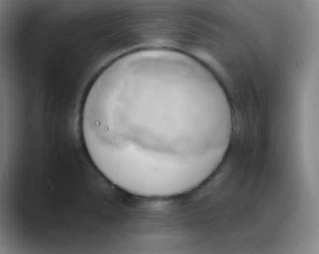 X0000088741278200706282137