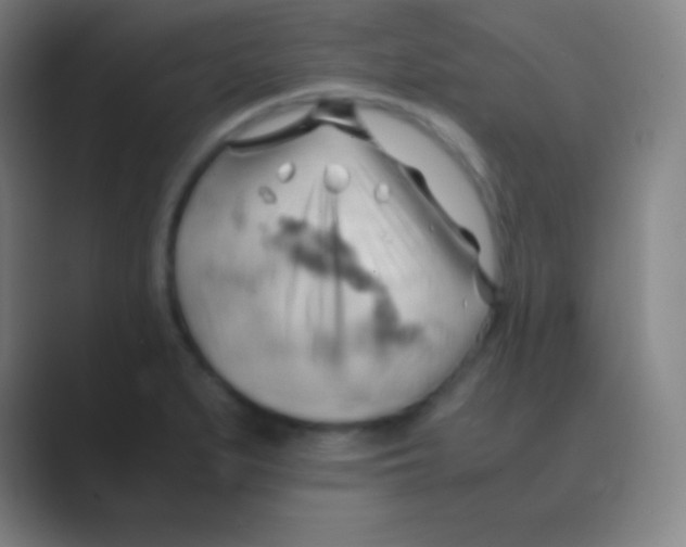 X0000088741279200706282137