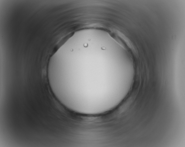 X0000088741281200706282137