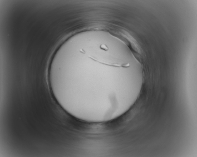 X0000088741283200706282137