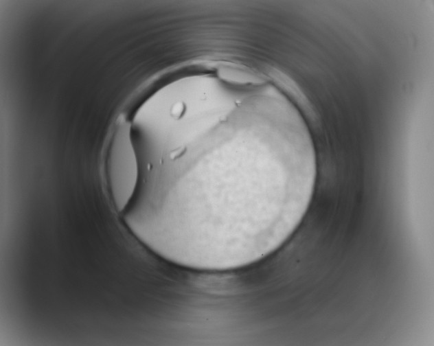 X0000088741284200706282137
