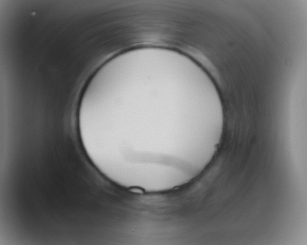 X0000088741285200706282137