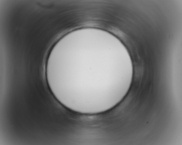 X0000088741286200706282136