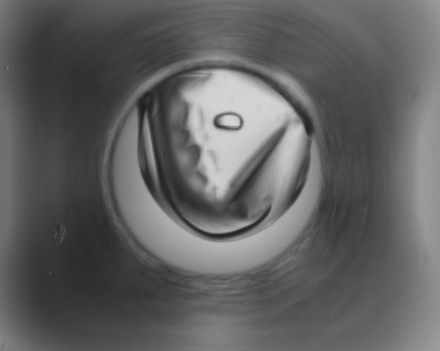 X0000088741287200706282136
