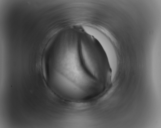 X0000088741289200706282136