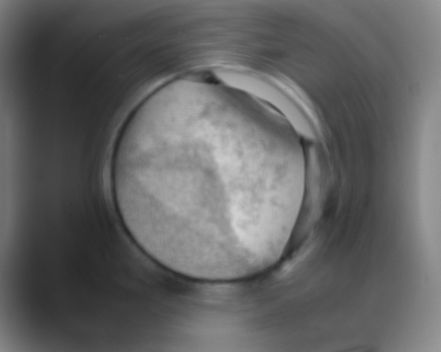 X0000088741293200706282136