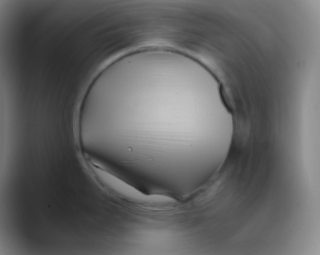 X0000088741295200706282136