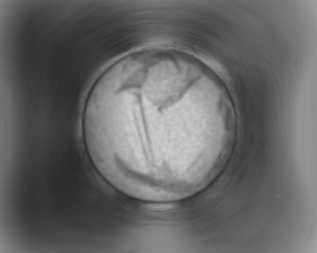 X0000088741296200706282136