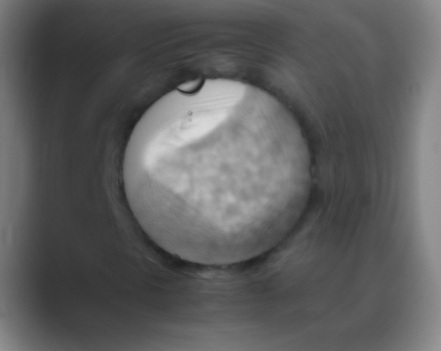 X0000088741297200706282136