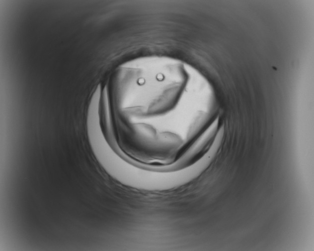 X0000088741298200706282136