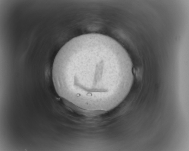 X0000088741299200706282136