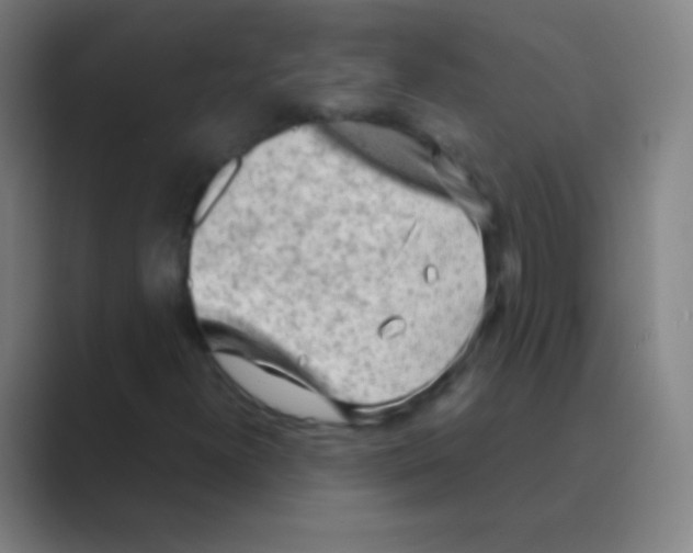 X0000088741300200706282136