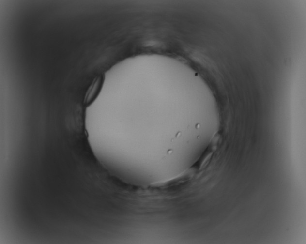 X0000088741301200706282136