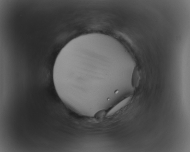 X0000088741303200706282136