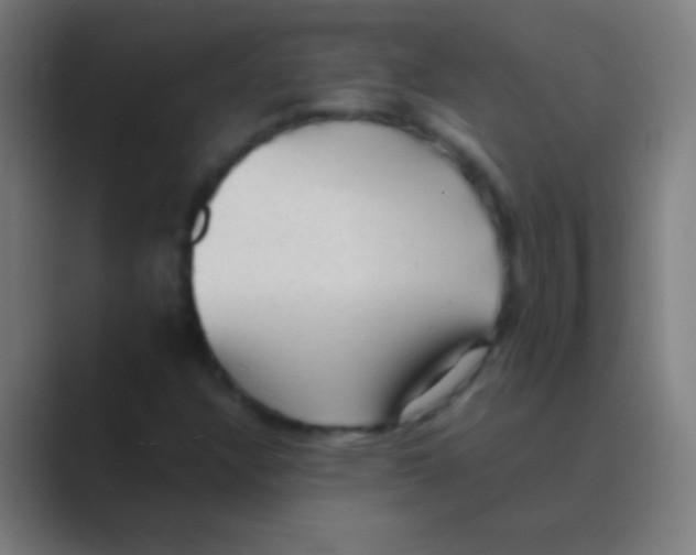 X0000088741304200706282136