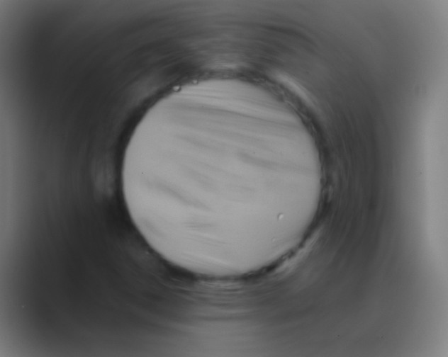 X0000088741306200706282136