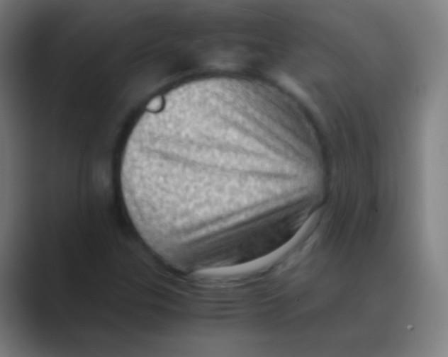 X0000088741307200706282136