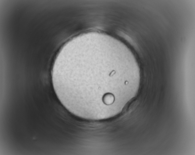 X0000088741308200706282136