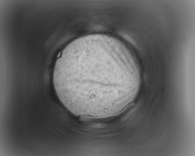 X0000088741309200706282136