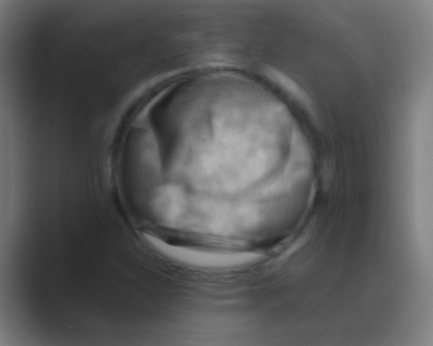 X0000088741310200706282136