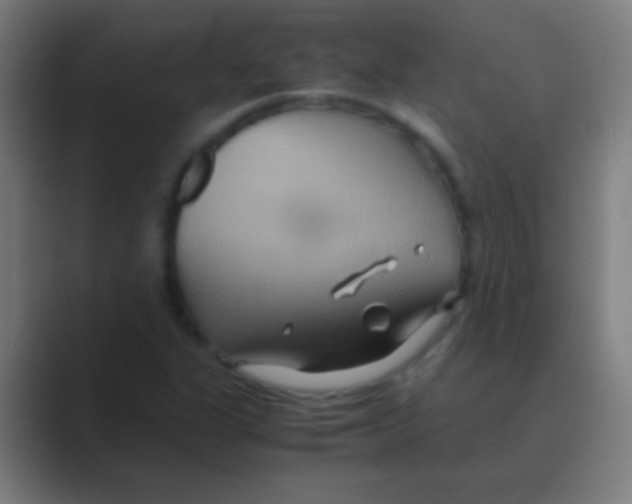 X0000088741311200706282136