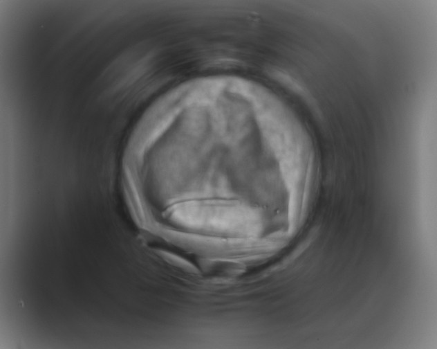 X0000088741313200706282136
