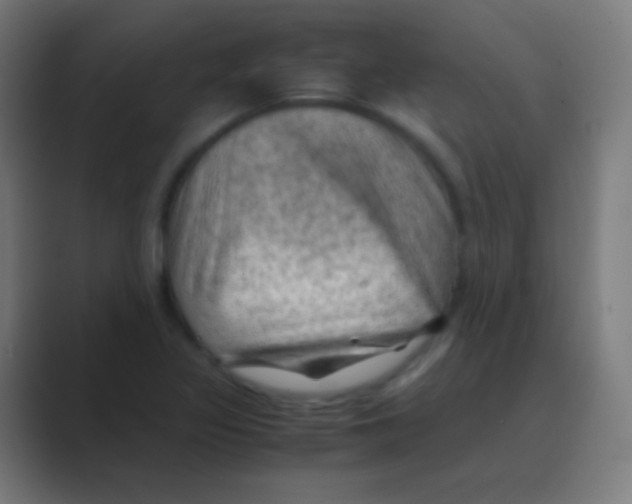 X0000088741317200706282136