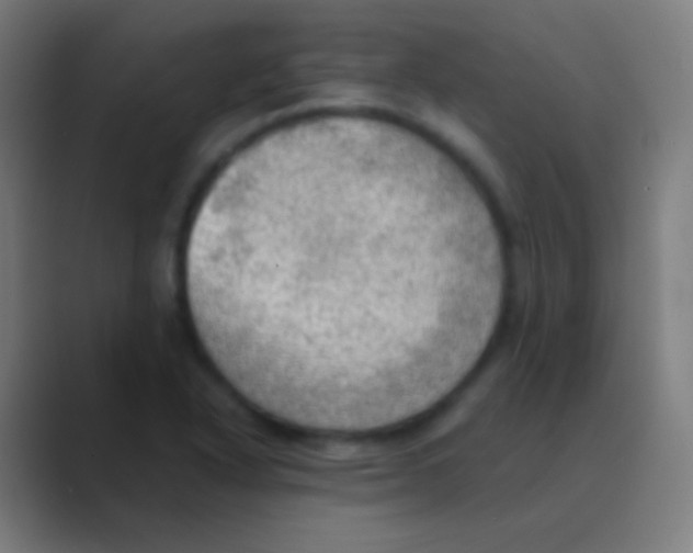X0000088741318200706282136