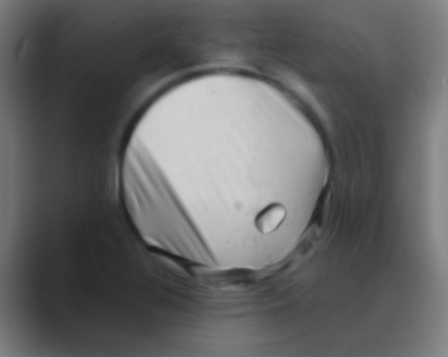 X0000088741320200706282136