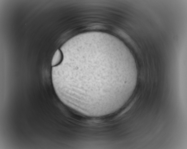 X0000088741321200706282136