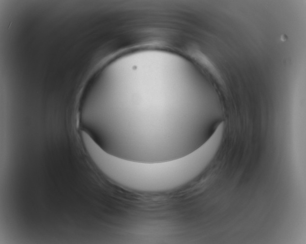 X0000088741324200706282136