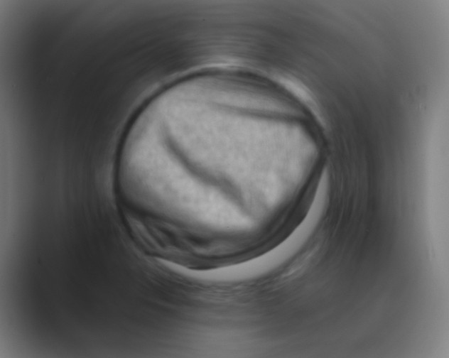X0000088741326200706282136