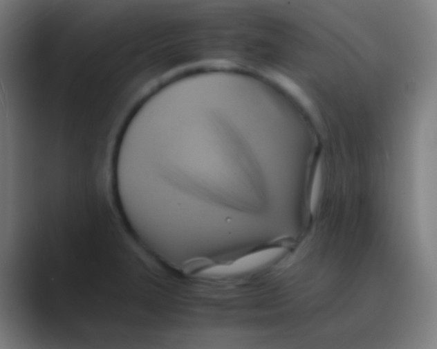 X0000088741327200706282136