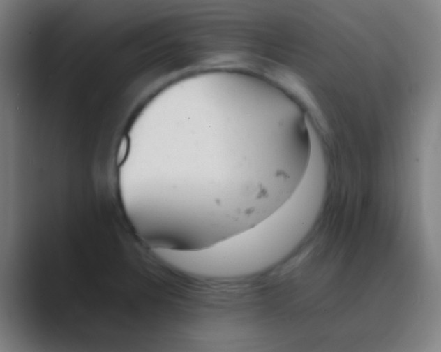 X0000088741328200706282136