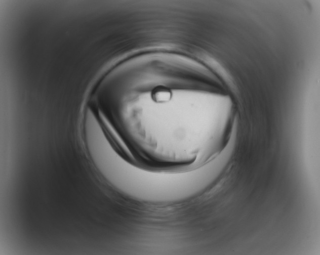 X0000088741332200706282136