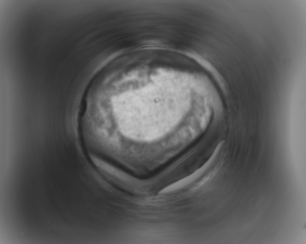 X0000088741333200706282136