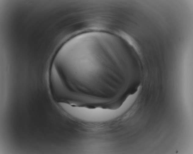 X0000088741334200706282136