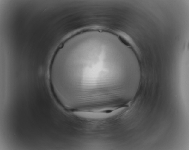 X0000088741335200706282136