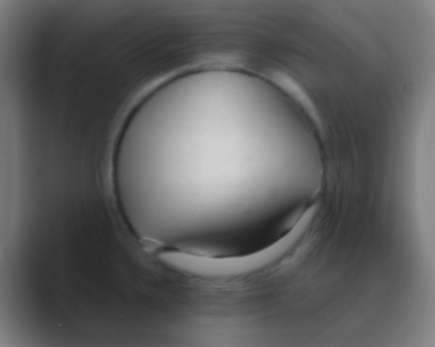 X0000088741336200706282136