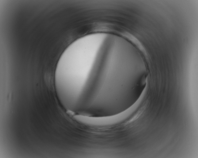 X0000088741337200706282136