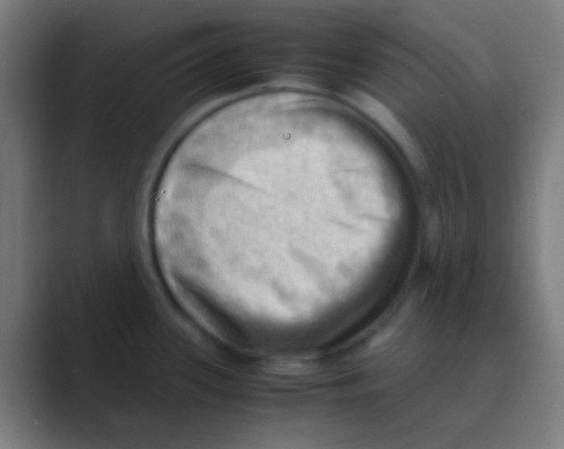 X0000088741339200706282136