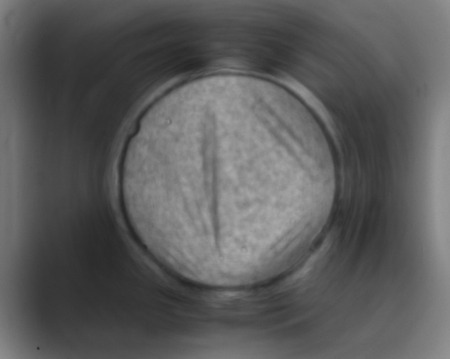 X0000088741341200706282136
