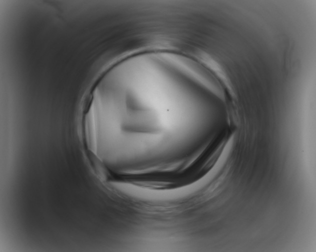 X0000088741342200706282136